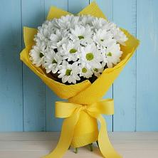 Букет цветов из:  Хризантемы в Красном Маныче
