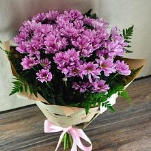 Букет цветов из:  Хризантемы #REPLACE_PRED# Красном Маныче