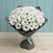 Букет цветов из:  Хризантемы в Красном Маныче