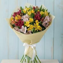 Букет цветов из:  Альстромерии #REPLACE_PRED# Красном Маныче