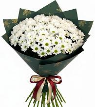 Букет цветов из:  Хризантемы #REPLACE_PRED# Красном Маныче