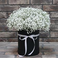 Цветочная композиция из Гипсофила в шляпной коробке #REPLACE_PRED# Красном Маныче