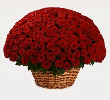Премиум букет из: Розы в Красном Маныче