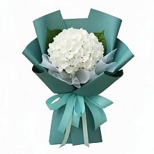 Букет цветов из:  Гортензия #REPLACE_PRED# Красном Маныче